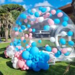 Bubble House - Image 4